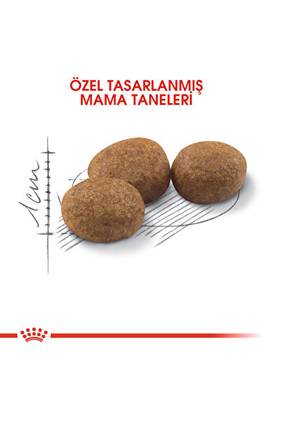 Royal Canin Sterilised37 Kısırlaştırılmış Yetişkin Kedi Maması 4 Kg