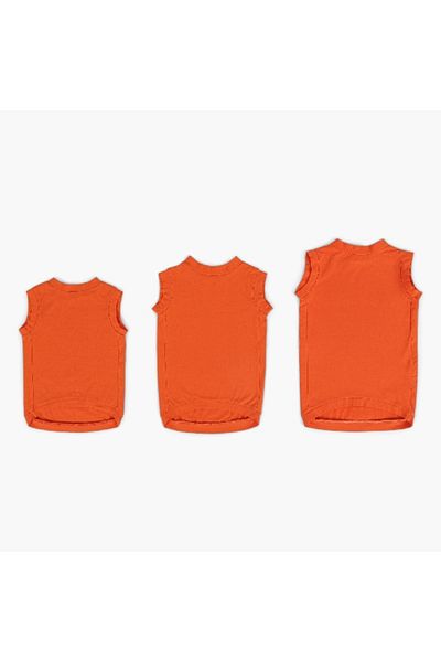 Home Box Canine Glow in Dark Pet Dress - Medium