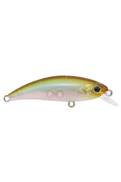 Hanfish Zıpır Kg