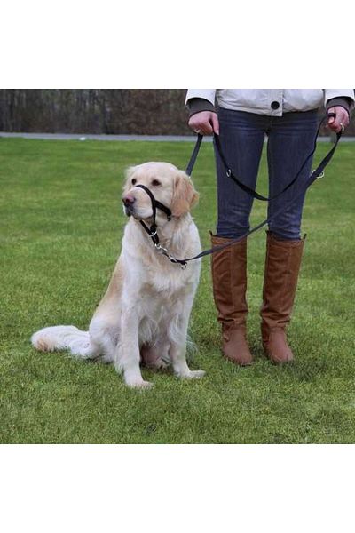Trixie Expert Dog Training Collar 22cm S 533132