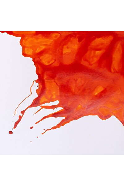 Winsor Newton Winsor & Newton Drawing Ink Drawing Ink 14ml Orange 449