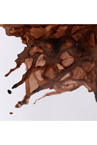 Winsor Newton Winsor & Newton Drawing Ink Drawing Ink 14ml Peat Brown 469