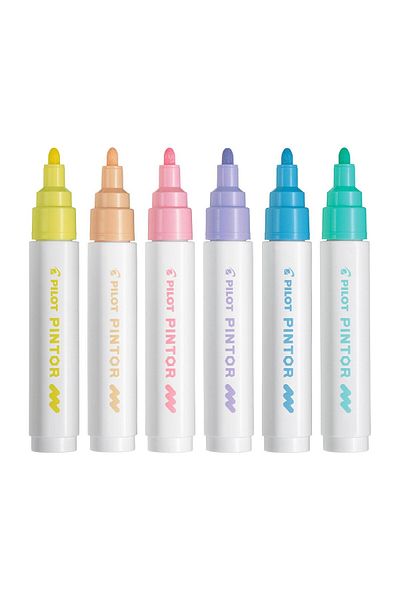 Pilot Pintor M 1.4mm Acrylic Marker Pen - Pastel Colors / Sw-pt-m-s6-pastel