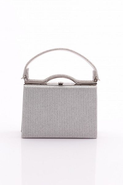 DGN Cupra Silver Women's Portfolio Evening Dress Bag - 23563152