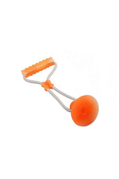 Pawise Dog Suction Dumbbell Dog Toy Zrnet