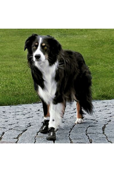 Trixie Dog Walking Boots 2 Pieces M-L Black 492113