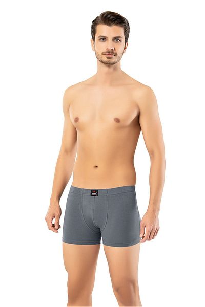 ERDEM İÇ GİYİM Erdem Smoked Short Look Slim Fit Boxer 1420