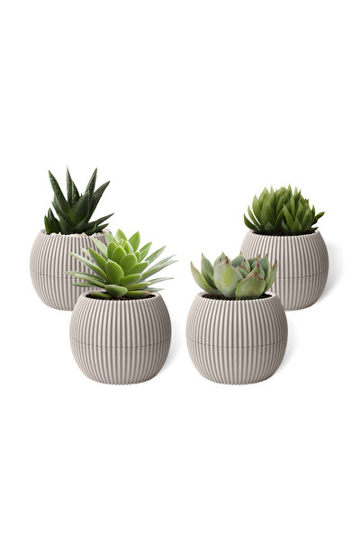 ToXA 4 Adet 0.15 Litre Bej Mini Mercan No1 Krem Kaktüs Sukulent Saksısı Minik...