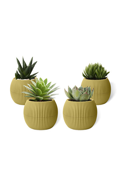 ToXA 4 Adet 0.15 Litre Sarı Mini Mercan No1 Kaktüs Sukulent Saksısı Minik Pla...