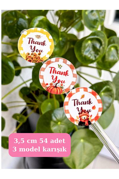 Hayal.kirtasiyesi Autumn Sticker Set - 3.5 Cm, 54 Pieces of Opaque Stickers, Adhesive Label, Gift Package Label
