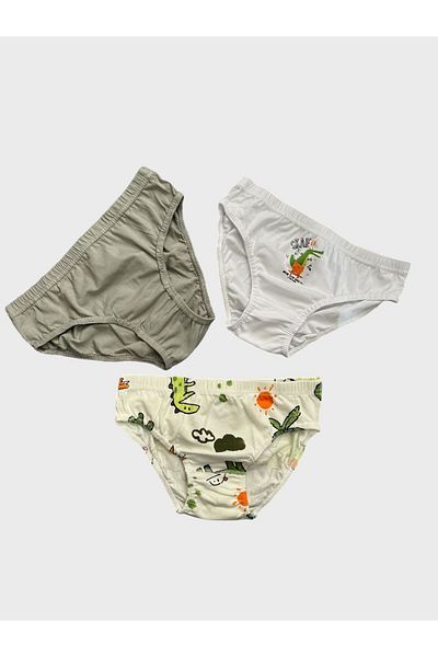 elmas kids Slip din bumbac pentru băiat, cu model de dinozaur, alb, gri ecru, 3 piese