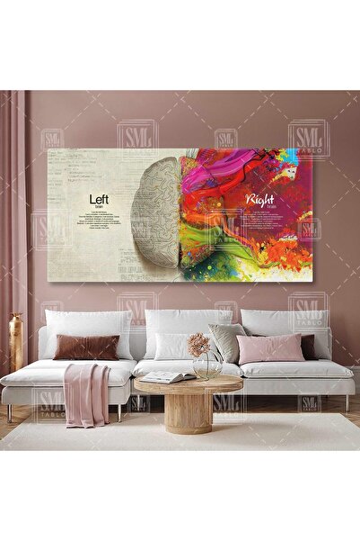 SML TABLO Sağ Beyin Duygusal Görsel Sol Beyin Mantık Analitik Beynin Bölgeler...