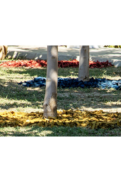 Peysan Sarı Renkli Malç 40 Litre 25-65 mm Renkli Ağaç Kabuğu Renkli Ağaç Yonga Bahçe Dekor Peyzaj Mulch