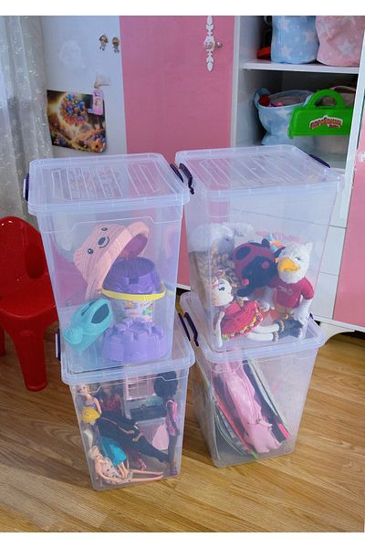 biedda 30 Liter 4 Pieces Vertical Deep Storage Organization and Storage Box with Lockable Lid Plastic