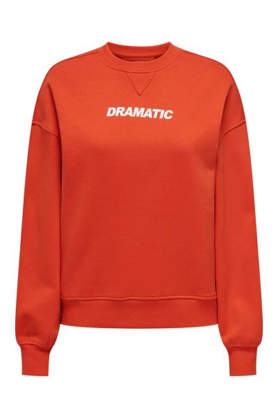 ONLY Onlsofıa L/S Word O-Neck Women's Sweatshirt
