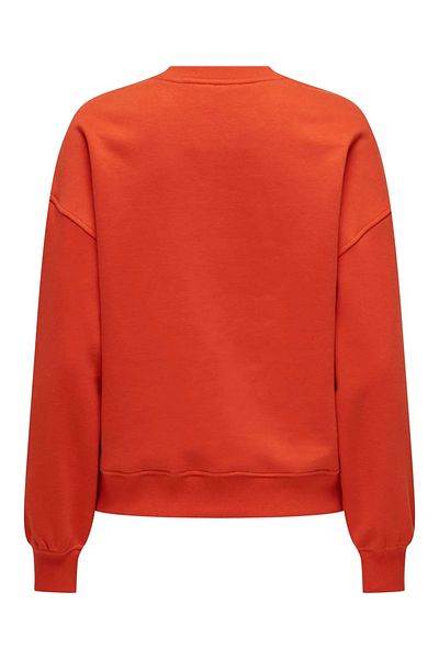 ONLY Onlsofıa L/S Word O-Neck Women's Sweatshirt