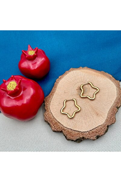 Opia Takı & Aksesuar أقراط نجمة من الفولاذ