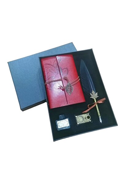 Art Tone STEAMPUNK ANTİQUE SET HAT VE KALİGRAFİ SETİ DEFTERLİ 24-31 4 PARÇA ÖZEL KUTULU