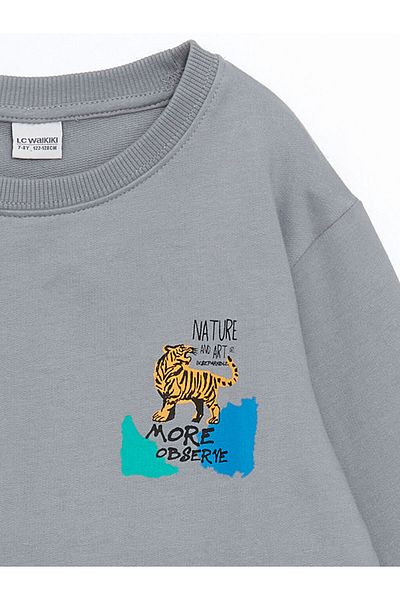 LC Waikiki Lcw Kids Boy Gray Long Sleeve Crew Neck Sweatshirt