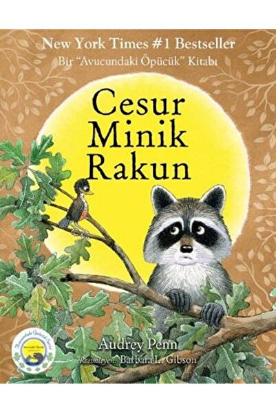 Butik Yayınları Cesur Minik Rakun
