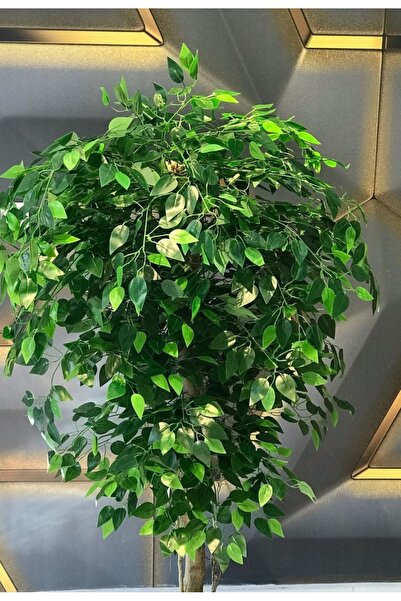 RUZGARCİCEK Rüzgar Yapay Çiçekçilik 175 cm Benjamin Ağacı