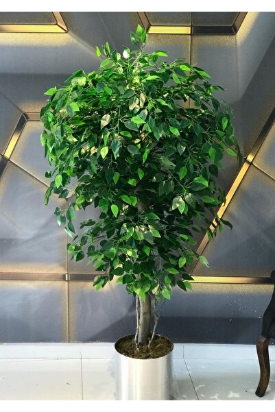 RUZGARCİCEK Rüzgar Yapay Çiçekçilik 175 cm Benjamin Ağacı