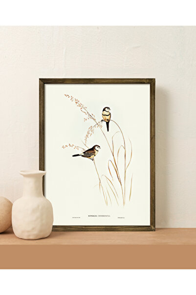 Vetro Design Slika u ramu sa pticama