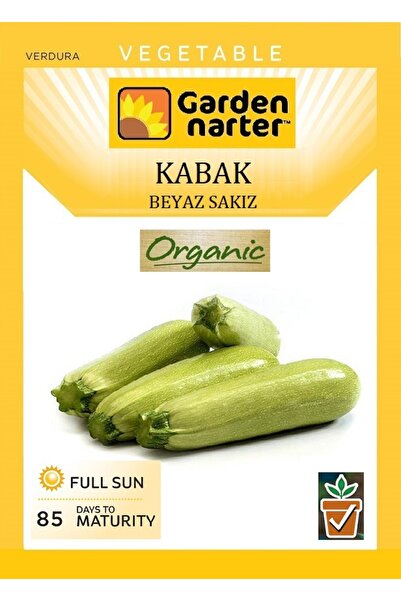 GARDEN NARTER Beyaz Kabak Tohumu Doğal Organik Sakız Kabak Tohumu Pakette 10 ...