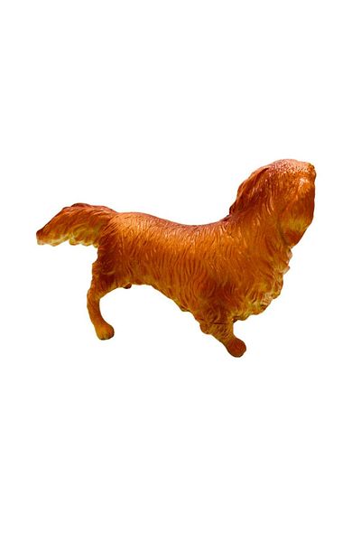 MarDyHome Collie Breed Dogs