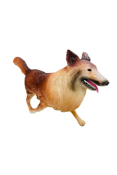 MarDyHome Golden Retriever Breed Dogs