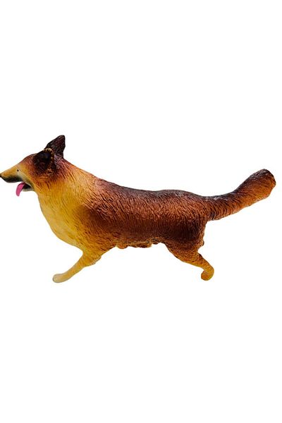 MarDyHome Golden Retriever Breed Dogs
