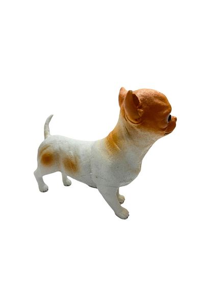 noirsecret Dogs - Chihuahua / Chihuahua Breed Dog