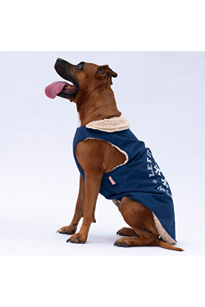 Pawstar Lacivert Yukon Küçük-Orta-Büyük Irk Yelek