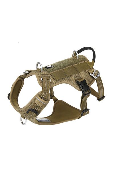 True Love Tactical Army Green Dog Collar
