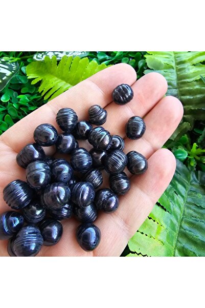 TAŞ UZMANI 10 ملم لؤلؤ طبيعي أسود بيضاوي