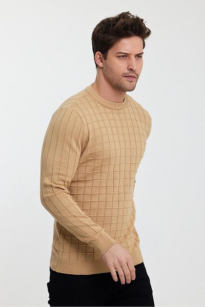ALEXANDERGARDI Ανδρικό πουλόβερ με λαιμόκοψη (E23-6714)