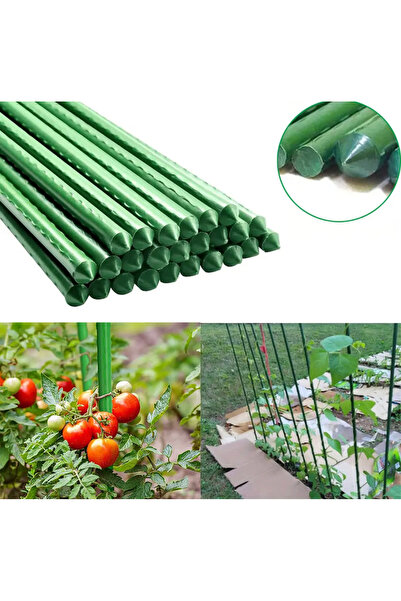 BGA Bitki fidan çiçek destek çubuğu 60cm