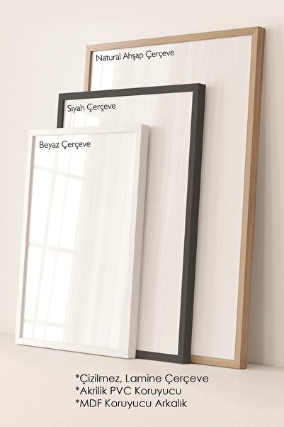 Postifull Çerçeveli Tablo Seti, 3 Adet Beyaz Çerçeve ve Minimalist Çizim Temalı Poster Seti, No:300534