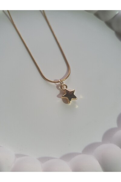 BS JEWELRY Star Mini Steel Necklace
