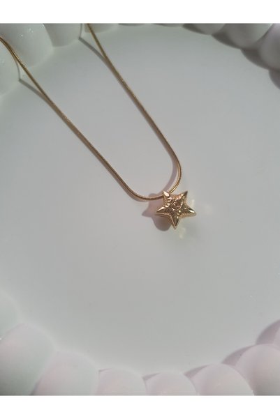 BS JEWELRY Starfish Figured Steel Necklace