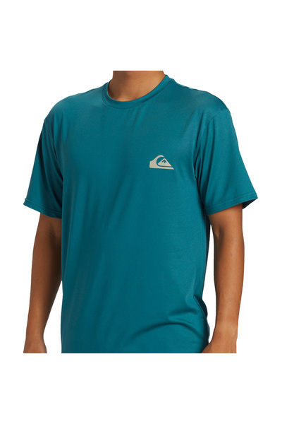 Quiksilver Everyday Surf Tee Ss Men Lycra Aqywr03135