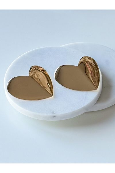 CHARMLUCKY Steel Large Heart Plate Earrings