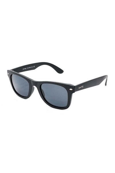 Swing Sw Ss101 C193 Polarized 49 g