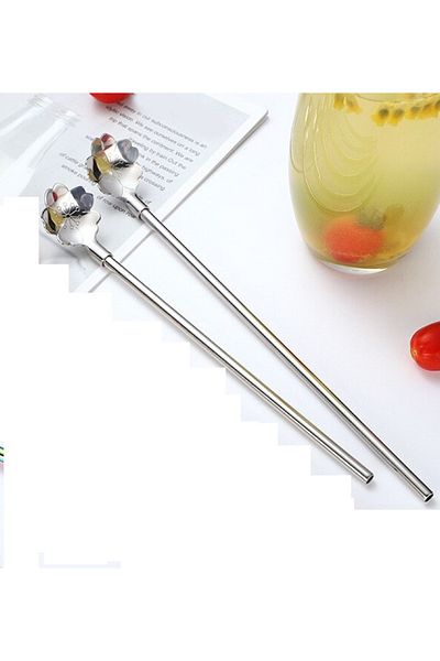 PERİBOİA Stainless Metal 2-Piece Straw Brush Set with Spoon