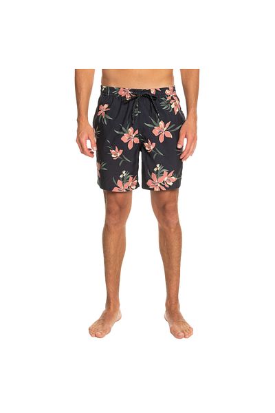 Quiksilver Swim Shorts Men