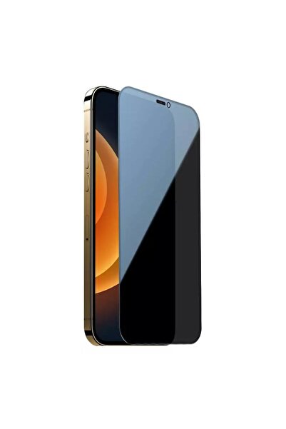 Zebana Apple iPhone 12 Pro Uyumlu Darbeye Dayanıklı Anti Statik Hayalet Ekran...