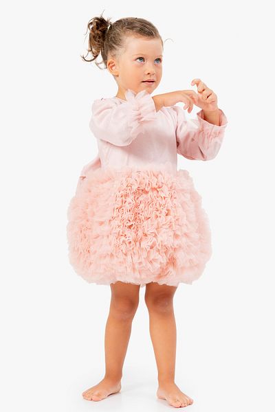 Baby Animals Baby Girl Dress Girls' Dress Birthday Party Wedding Tutu Tulle Long Sleeve Lined Dress
