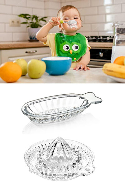 DORRY HOME Glass Apple Grater and Lemon Squeezer for Babies Set of 2