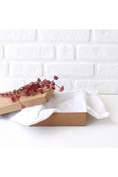 Bimotif Plush Paper 1 Kg(white)