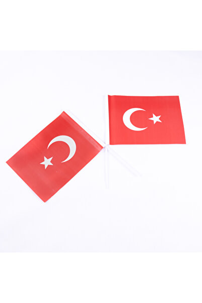 Bimotif Çıtalı Bayrak Büyük Boy Ay Yıldız, 20x30 Cm 1 Adet